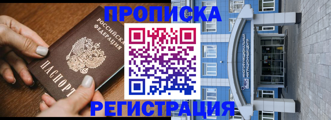 найти адрес прописки в Купино
